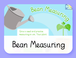Bean Measuring